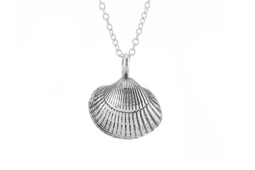 Large Cockle Shell Necklace