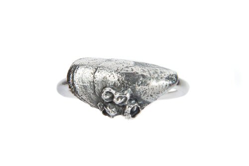 Mussel Shell Band Ring