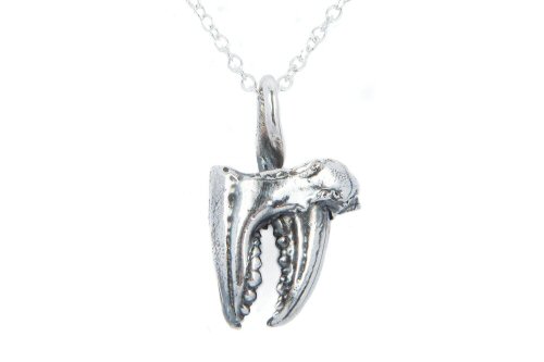 Crab Claw Necklace