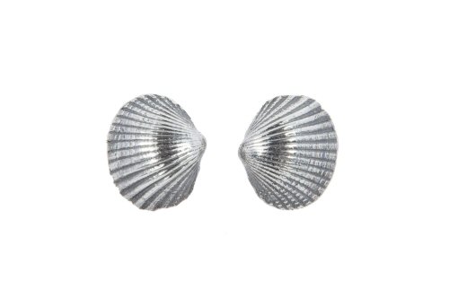 Cockle Shell Stud Earrings