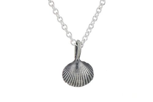 Tiny Cockle Shell Necklace