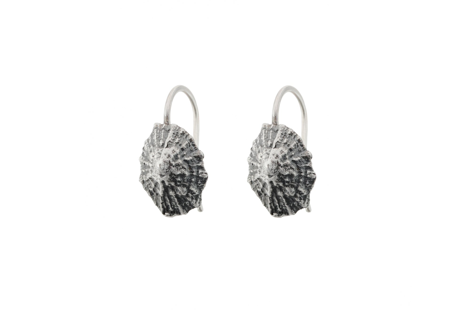 Limpet Shell Hook Earrings